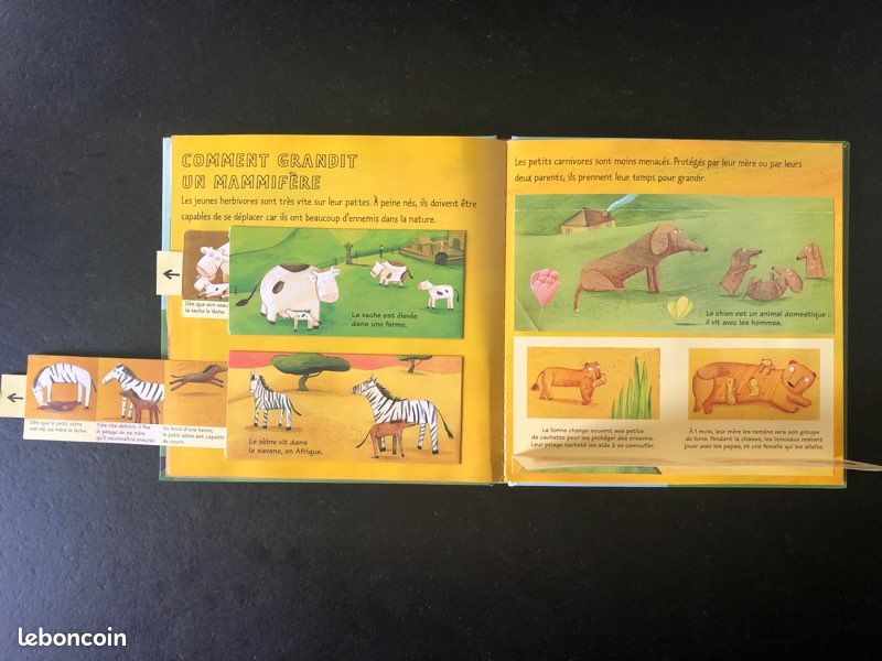 Kididoc- Les bébés animaux - n•29 (image 6)