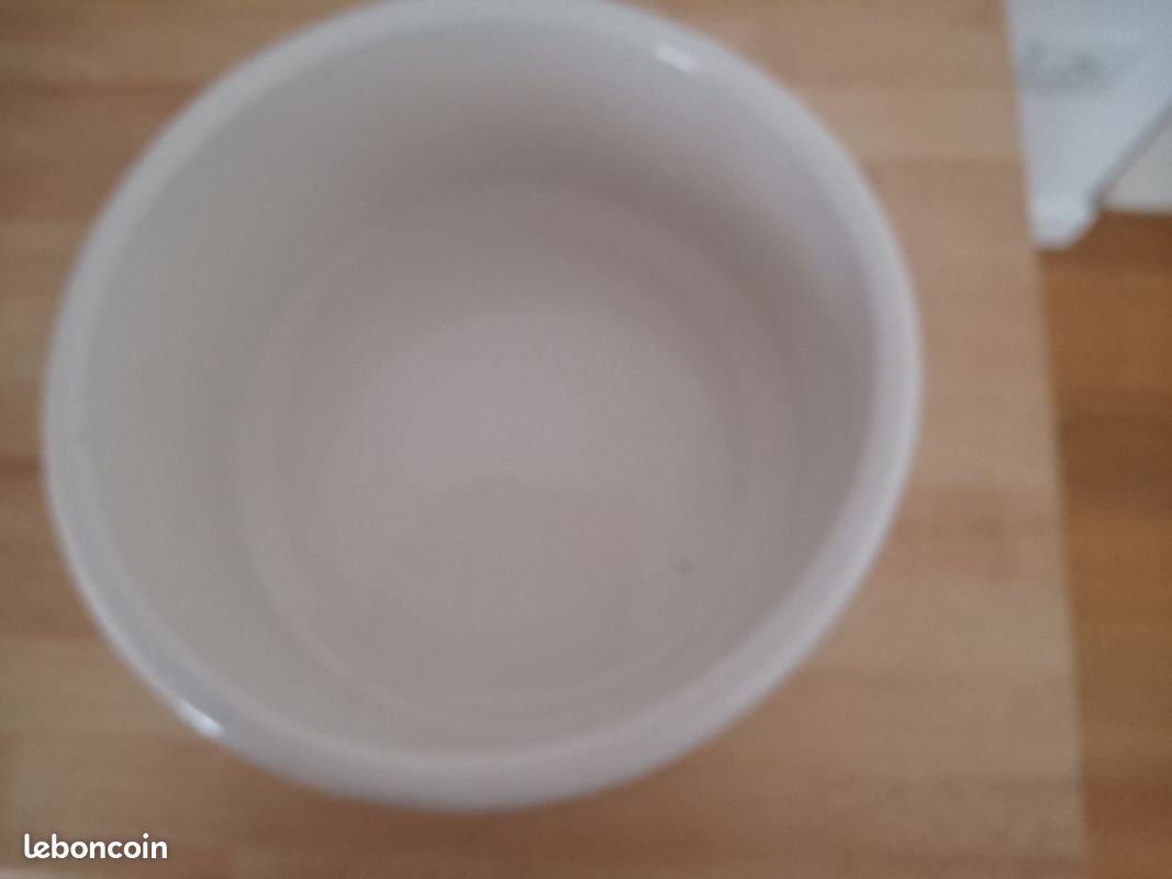 Plat A Four Et A Tarte En Ceramique D Occasion Annonces Vaisselle Leboncoin Page 4