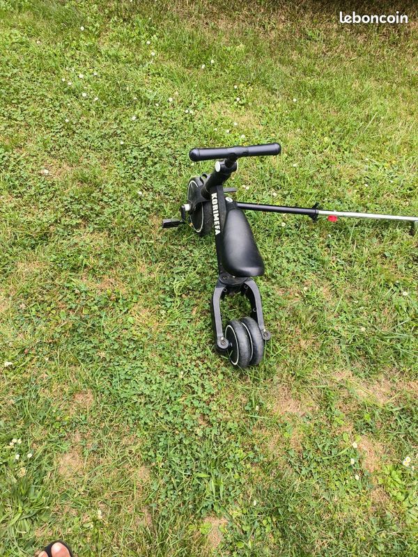 Dresienne / vélo (image 2)