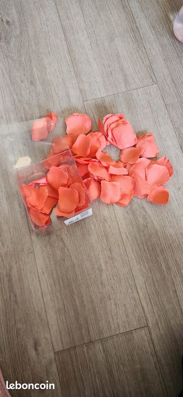 Lot 100 pétales de rose (image 3)