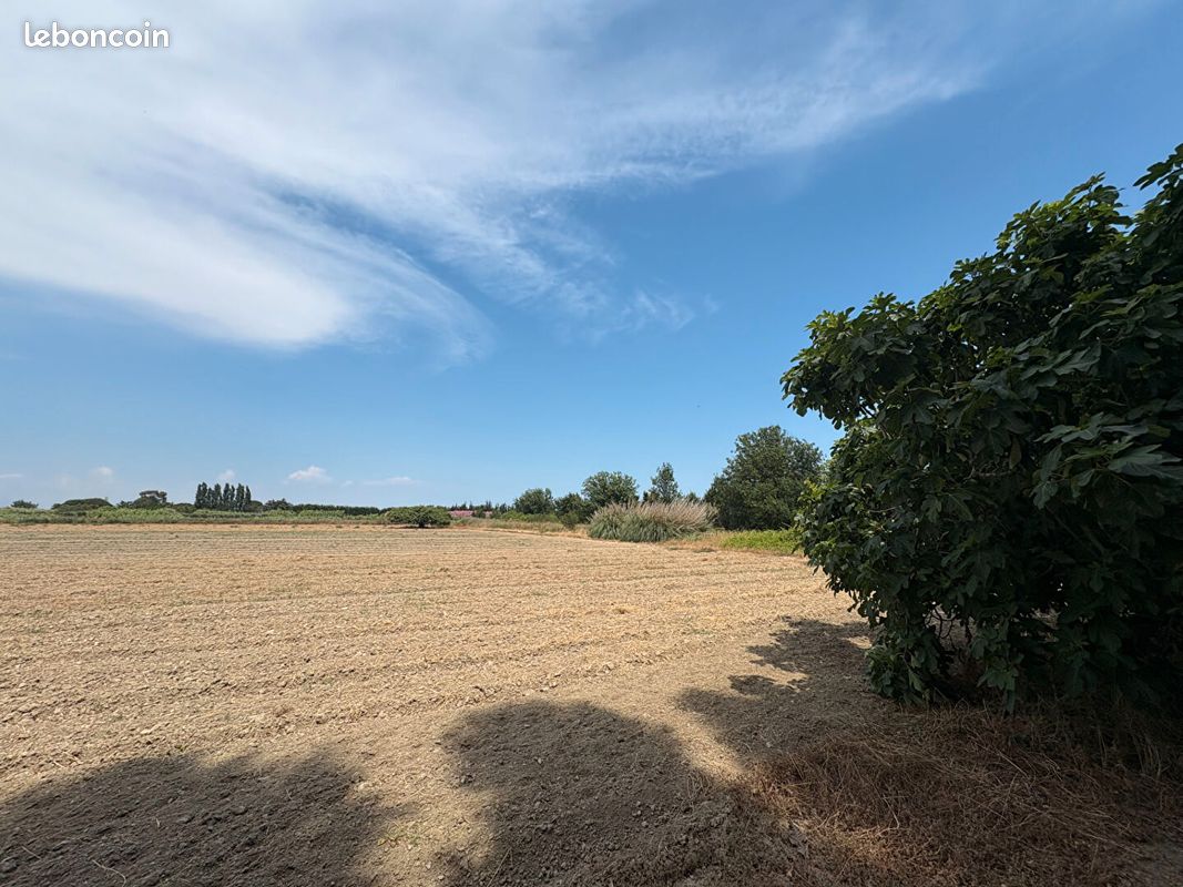 Terrain 13223 m² · à Villelongue-de-la-Salanque · 39 000 €