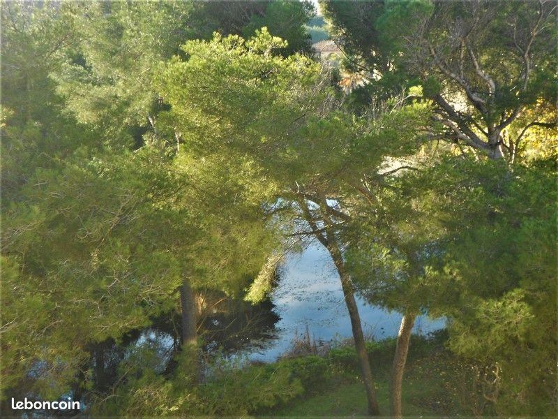 Location Vacances (image 10)