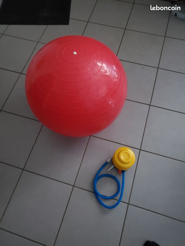 Ballon ergonomique (image 1)