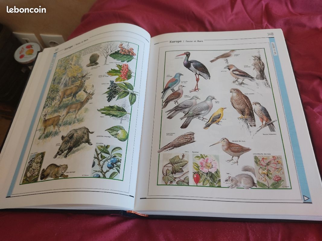 Encyclopédie BORDAS (image 2)