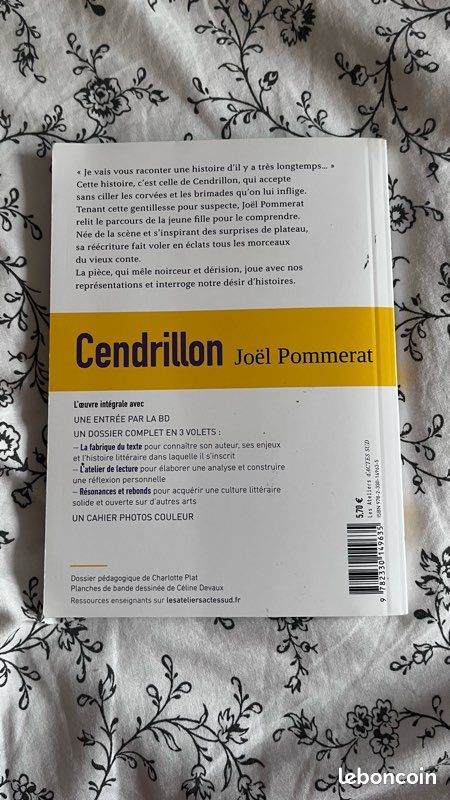 Livre cendrillon d’actes sud (image 3)