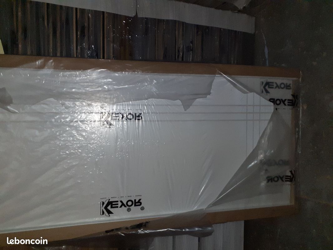 Porte fin de chantier (image 2)