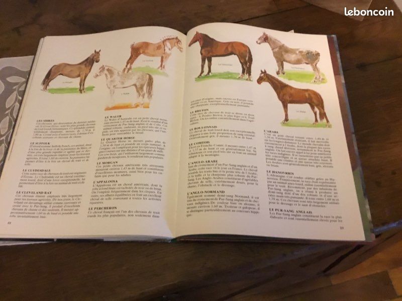 BIEN MONTER A CHEVAL EDITIONS GRUND très bon état (image 13)