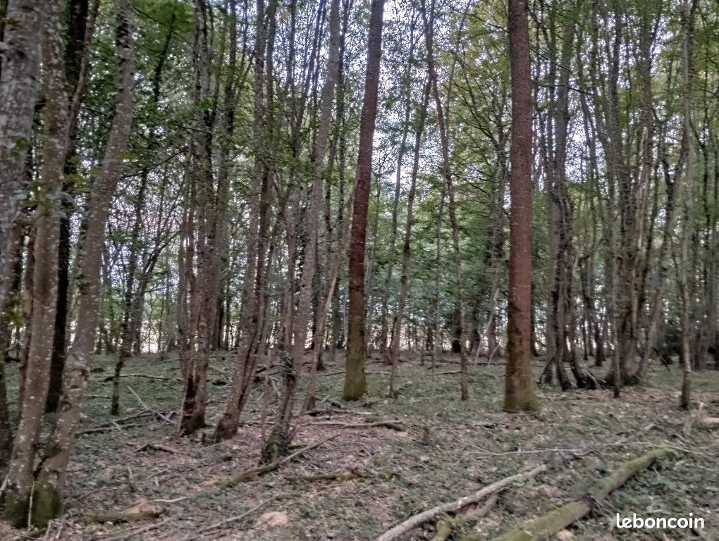 Terrain 23640 m² DAMMARIE SUR LOING · à Dammarie-sur-Loing · 19 000 €