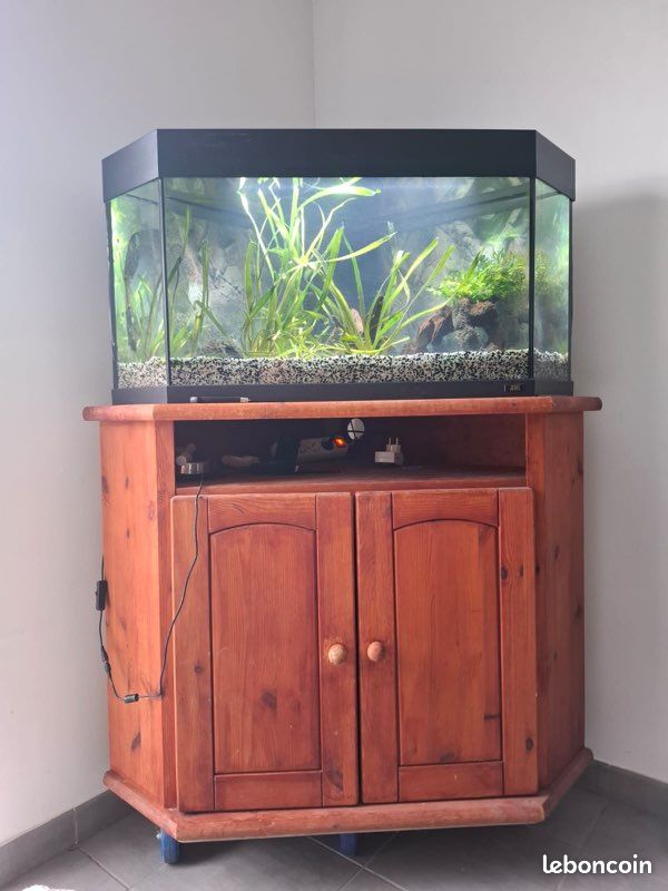 Aquarium JUWEL de 120L + meuble (image 1)