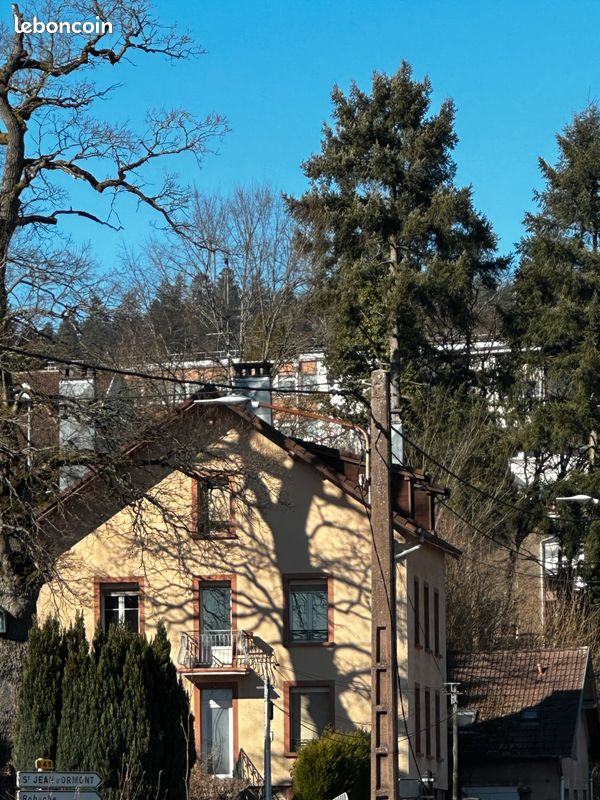 Appartement 5 pièces 110 m² · à Saint-Dié-des-Vosges · 110 m² · 87 000 €