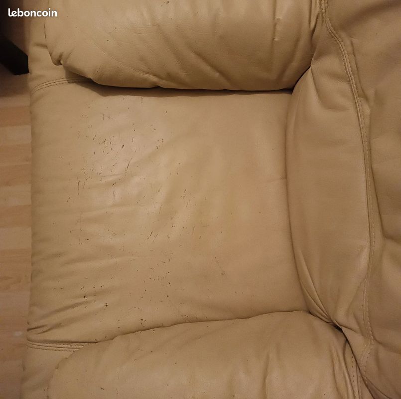 Fauteuil en cuir véritable (image 4)