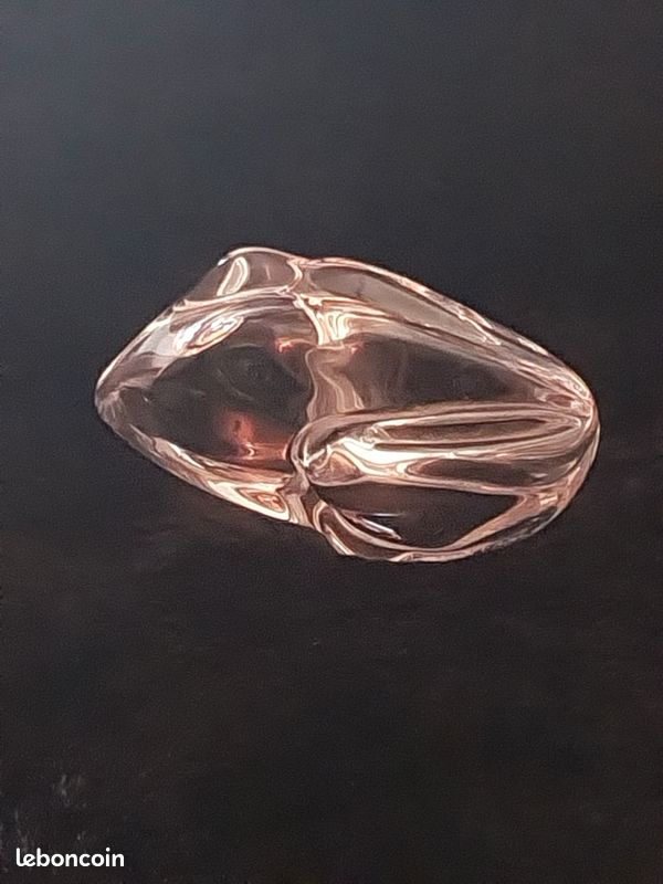 Yeux De Grenouille En Verre Les Grenouilles Du Costa Rica | Arawak