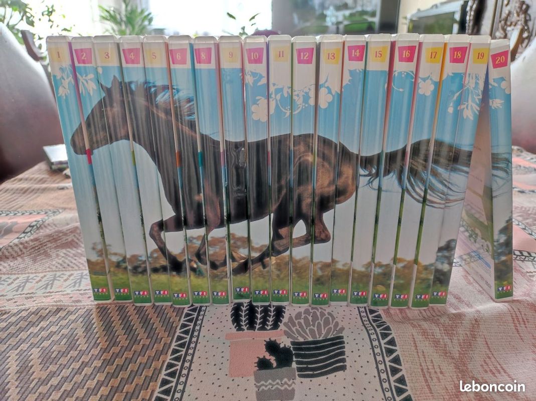 Collection DVD Grand Galop (image 1)