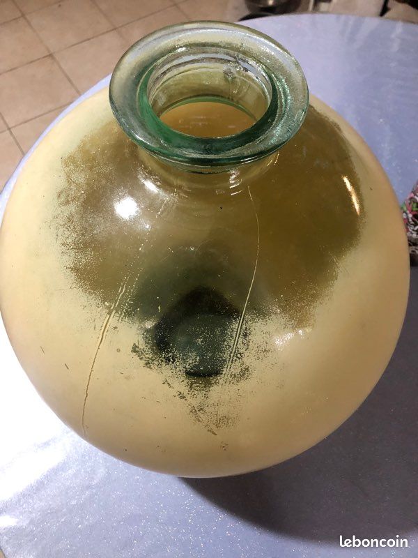 Vase/ Bombonne/ Dame Jeanne vintage (image 2)