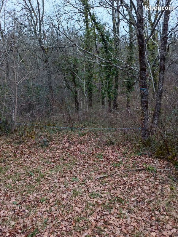 Terrain boisé · à Saint-Antonin-Noble-Val · 11 100 €