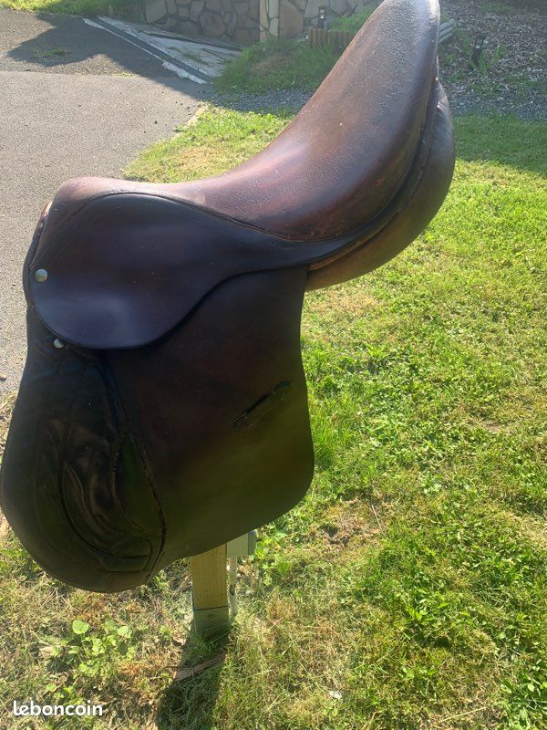 Selle mixte (image 4)