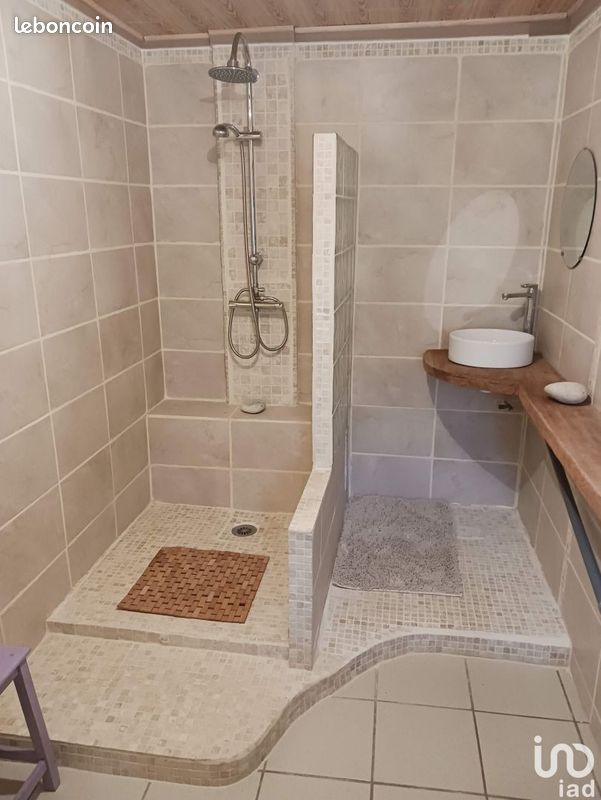 Maison 6 pièces 172 m² - Lhommaizé 86410 (image principale 6)