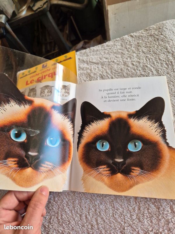 Livre enfant (image 6)