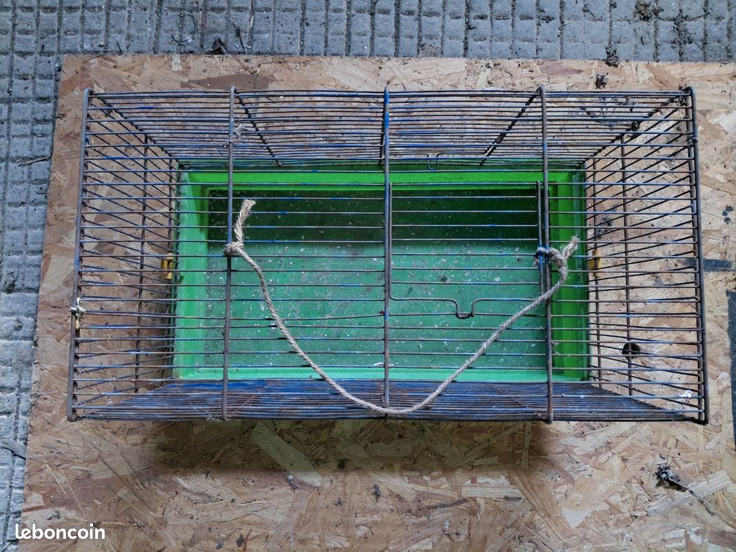 Cage (image 3)