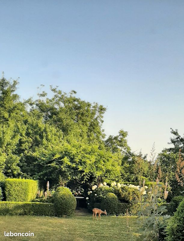 Maison 9 pièces 240 m² · à Écommoy · 240 m² · 450 000 €
