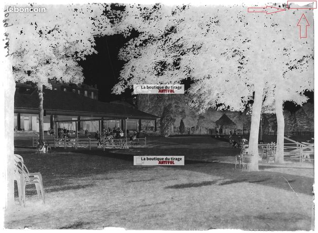 Plaque De Verre Ancienne 10x15 Cm – Vichy Parc Public – Négatif Noir Et Blanc – 1900-1939