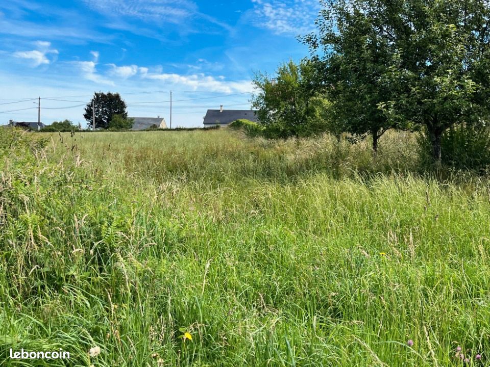 Terrain 1 500 m² Roannes Saint Mary · à Roannes-Saint-Mary · 37 500 €