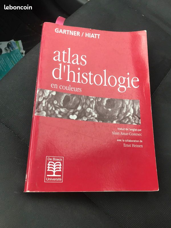 Atlas d’histologie (image 2)