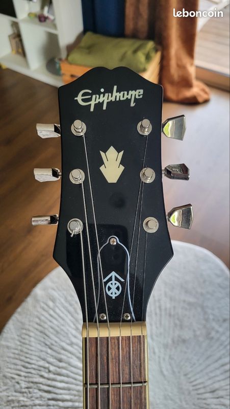 Epiphone es 335 jim james (image 5)