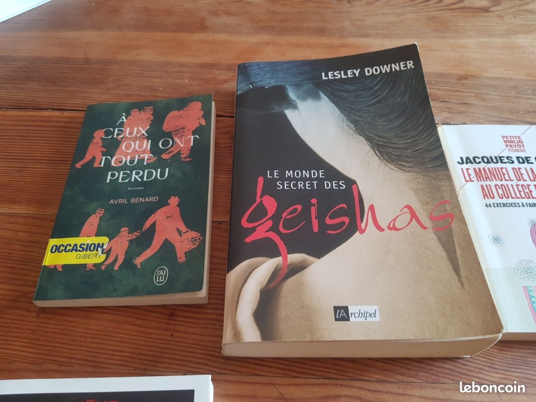 Livre roman,essai,philo,développement personnel (image 3)