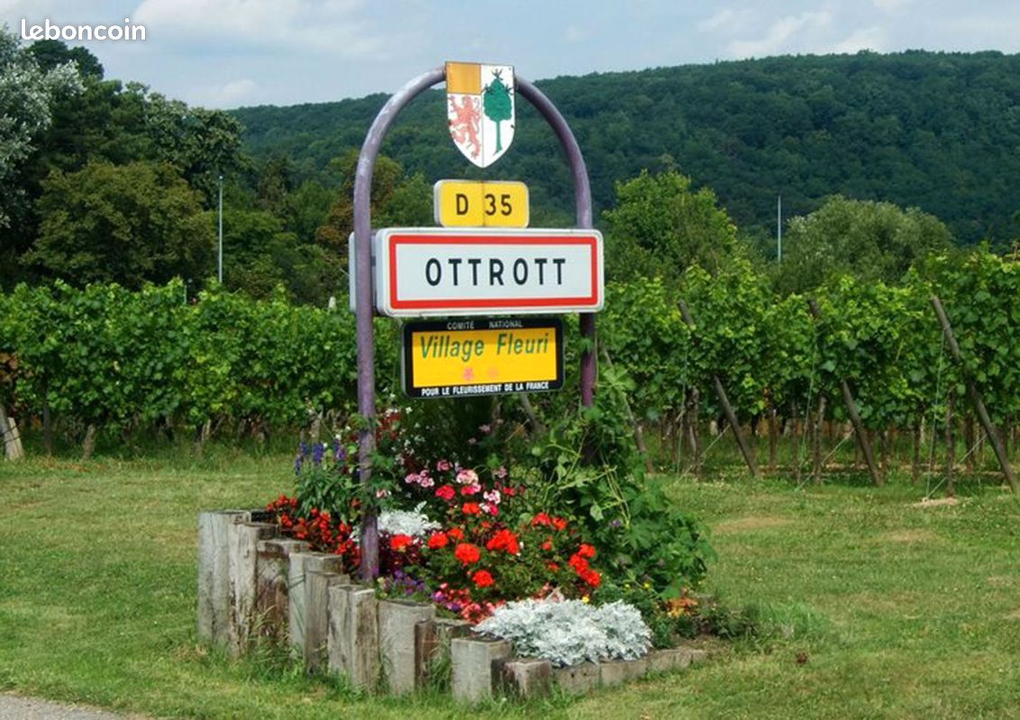 Studio gîte 2 personnes Ottrott proximité Obernai (image 6)