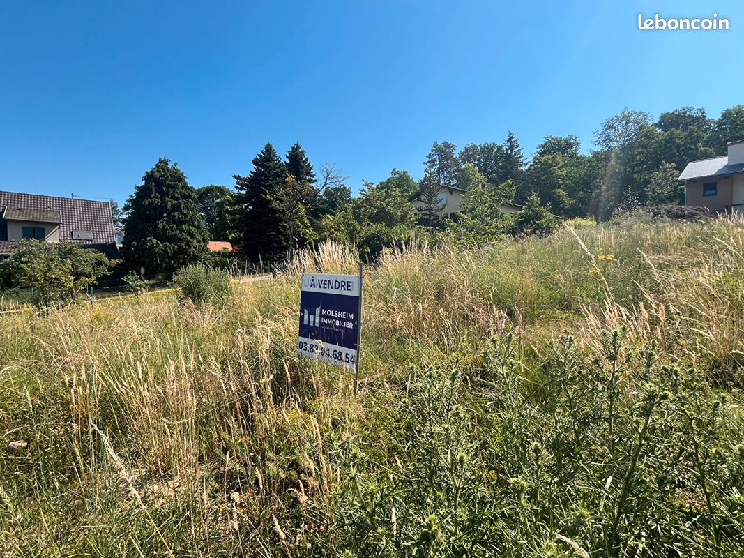 Terrain 500 m² · à Molsheim · 500 m² · 149 600 €
