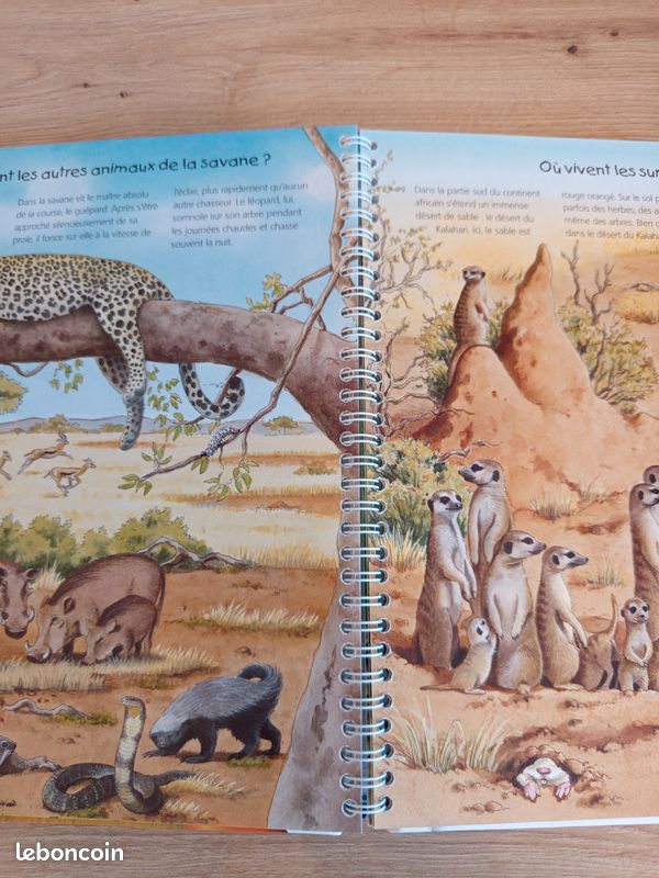 Livre tiptoi les animaux d'Afrique (image 7)