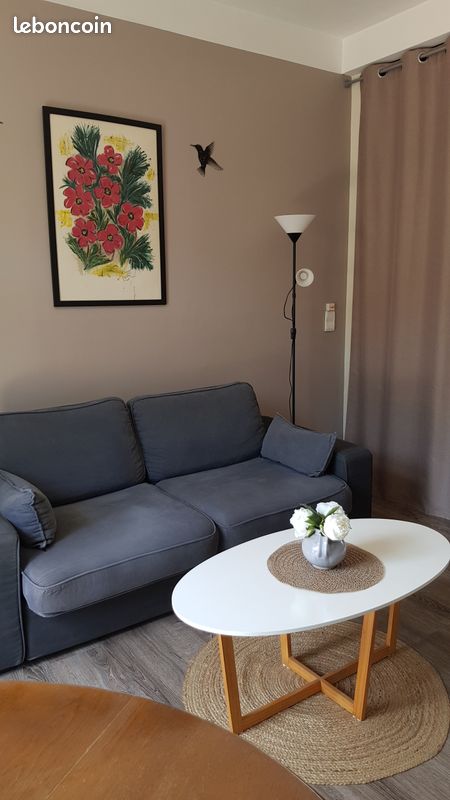Location saisonnière bel appartement F2 tout confort exposition plein sud (image 3)