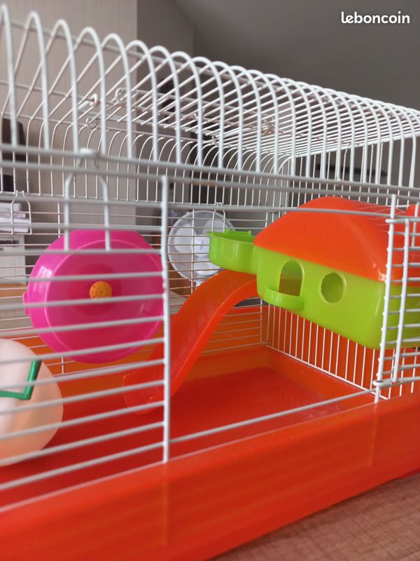 Cage petit animal (image 2)