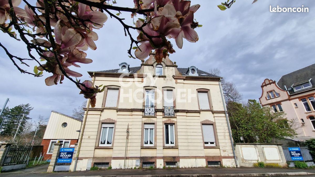 Immeuble 389 m² · à Mulhouse · 389 m² · 449 000 €