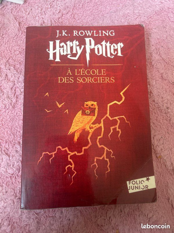 Harry Potter à l’école des sorciers (image 2)