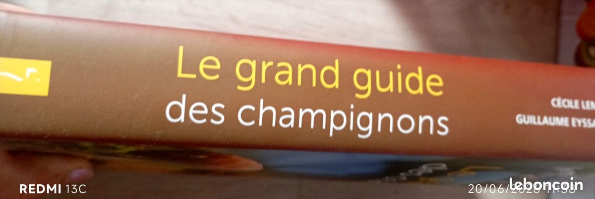 Livre illustré champignons (image 2)