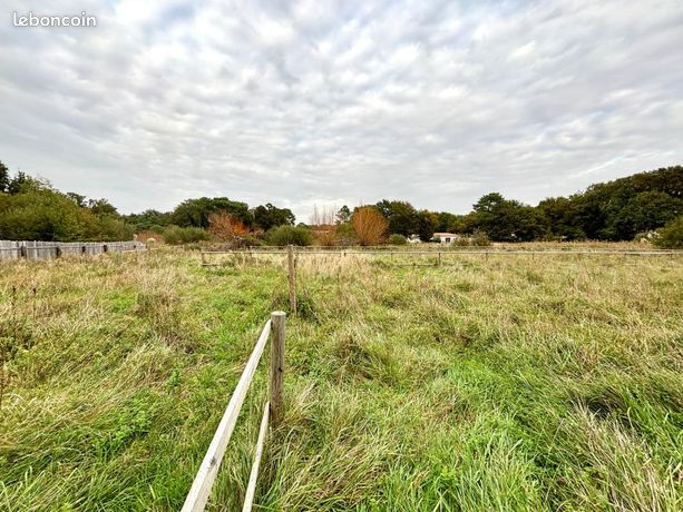 Terrain 4 084 m² La Tremblade