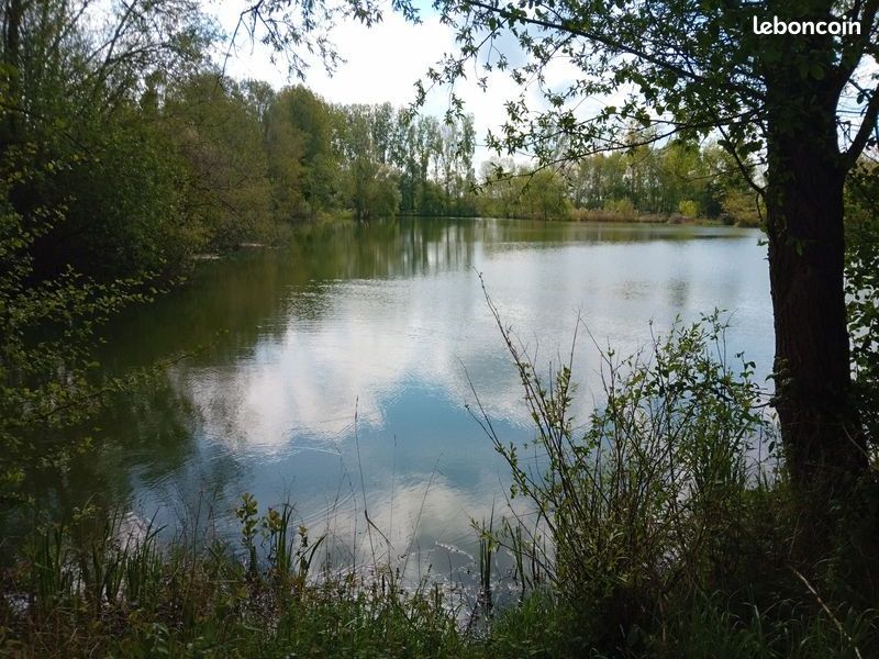Pêcheur de carpe recherche plan d'eau a acheté où a louer · à Buzet-sur-Tarn · 35 000 €
