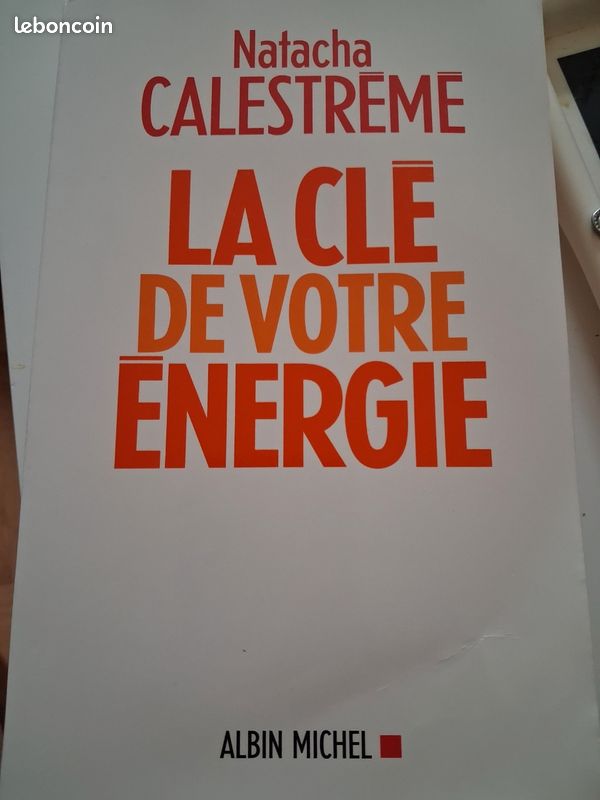 Livre " la clé de votre energie"n.calestreme (image 2)