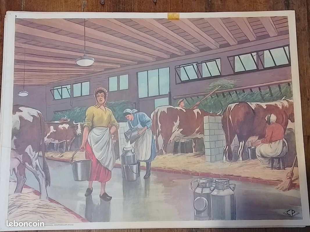Ancienne affiche Rossignol (image 2)