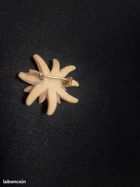 Vintage Jean Painlevé Seahorse Suite | Vintage | Jennifer Gibson Jewellery