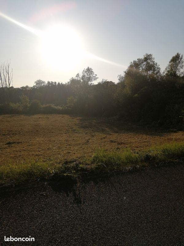 Terrain constructible