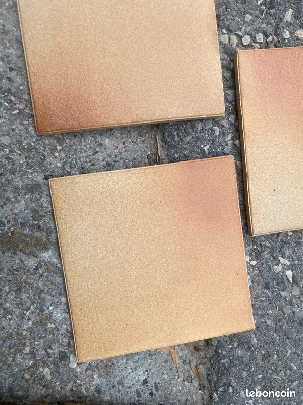 Carreaux grès de saintonge (image 3)