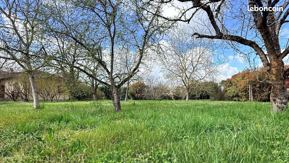 Terrain 1 000 m² Villaudric · 98 000 €