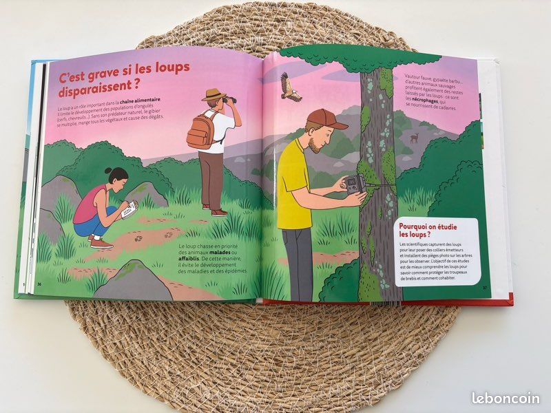 Livre 📕 mes p’tites questions, dès 7 ans, les loups, pages glacées, excellent état (image 16)