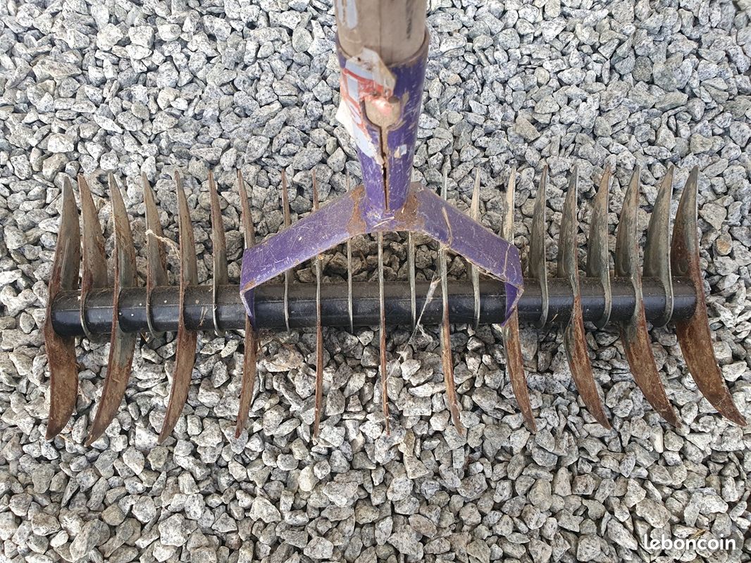 Rateau scarificateur gazon manuel avec manche 145 cm - Jardin & Plantes