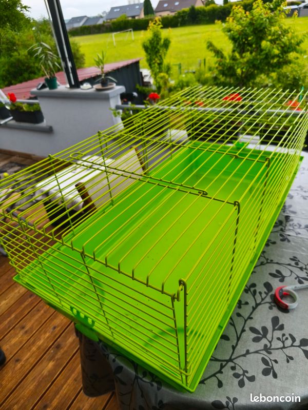 Cage a (image 1)