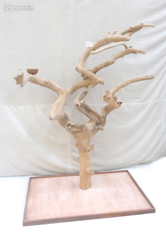 Arbre Java grand ara AIRE DE JEU PERROQUET arbre en bois de caféiers (image 2)