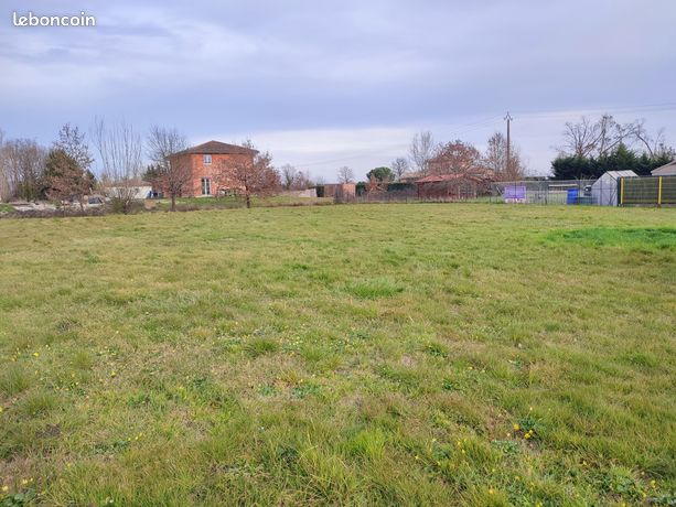 Terrain 1000 m² Montbeton